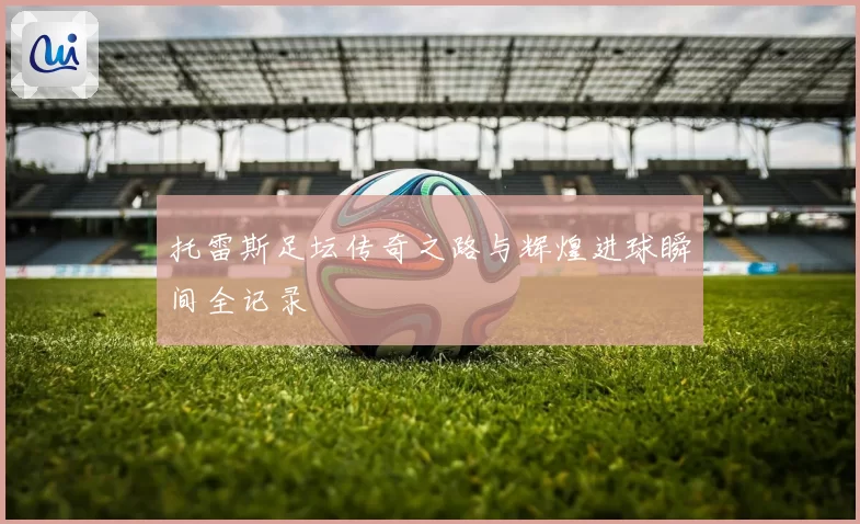 托雷斯足坛传奇之路与辉煌进球瞬间全记录